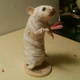 Illustration for article titled Reviews of an Etsy Seller Who Poses Dead Mice As Pop Culture Icons
